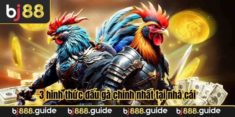 3 hình thức đấu gà chính nhất tại nhà cái