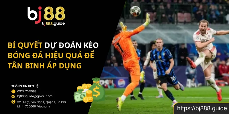 Bí Quyết Dự Đoán Kèo Bóng Đá Hiệu Quả Để Tân Binh Áp Dụng