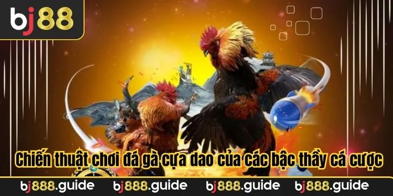 Chiến thuật chơi đá gà cựa dao của các bậc thầy cá cược
