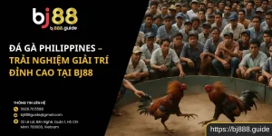 Đá Gà Philippines – Trải Nghiệm Giải Trí Đỉnh Cao Tại BJ88