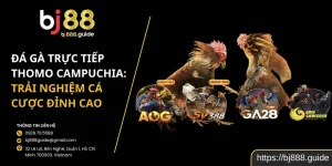 Đá Gà Trực Tiếp Thomo Campuchia: Trải Nghiệm Cá Cược Đỉnh Cao