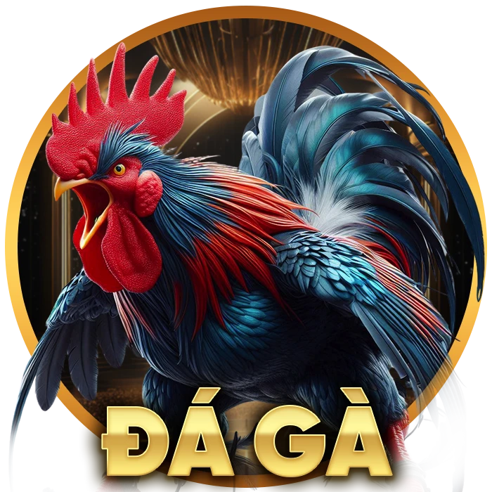 đá gà bj88