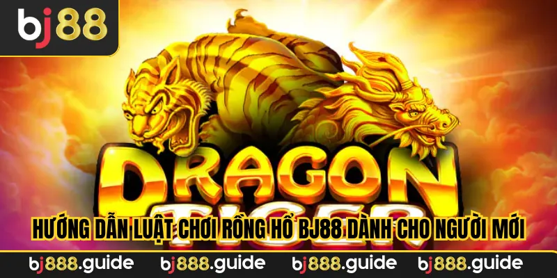 Hướng dẫn luật chơi rồng hổ BJ88 dành cho người mới