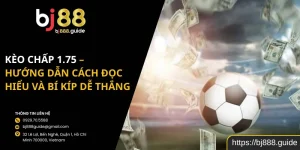 Kèo Chấp 1.75 - Hướng Dẫn Cách Đọc Hiểu Và Bí Kíp Dễ Thắng