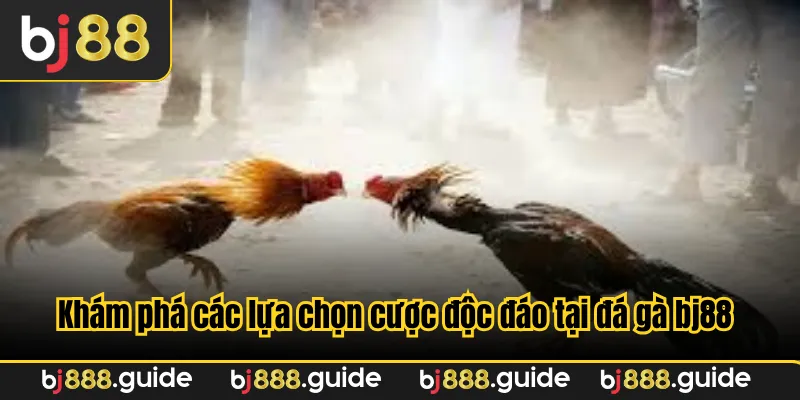 Khám phá các lựa chọn cược độc đáo tại đá gà bj88