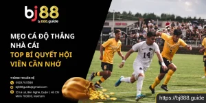 Mẹo Cá Độ Thắng Nhà Cái – Top Bí Quyết Hội Viên Cần Nhớ