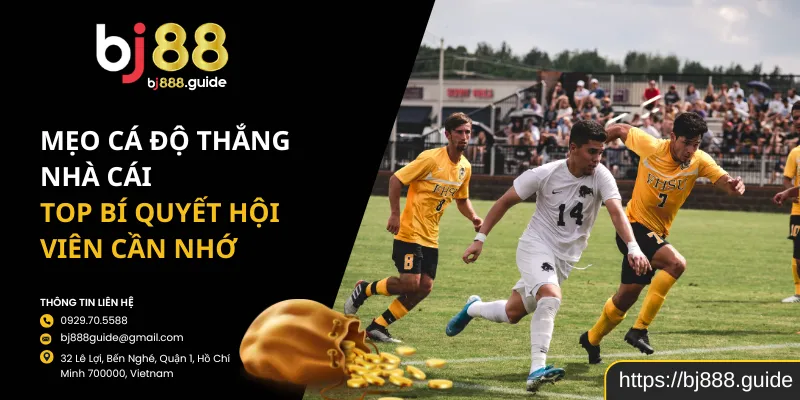 Mẹo Cá Độ Thắng Nhà Cái – Top Bí Quyết Hội Viên Cần Nhớ