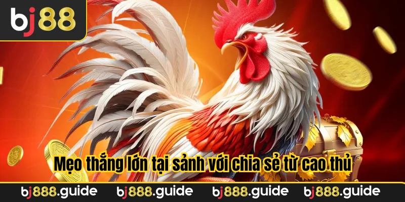 Mẹo thắng lớn tại sảnh với chia sẻ từ cao thủ