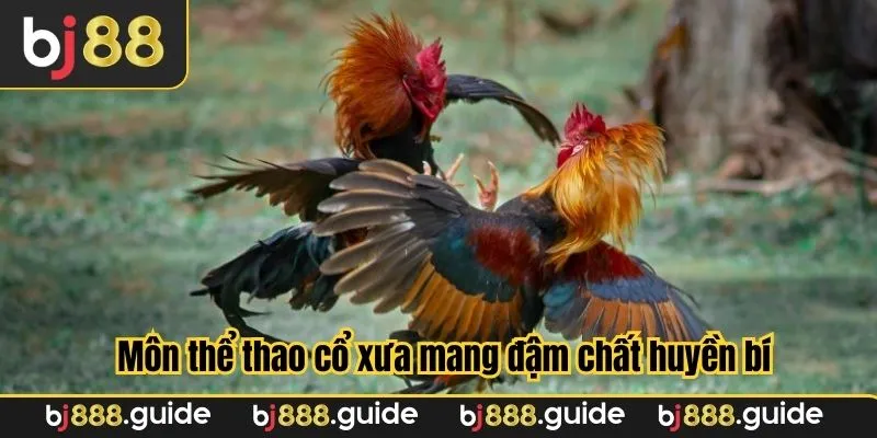 Môn thể thao cổ xưa mang đậm chất huyền bí
