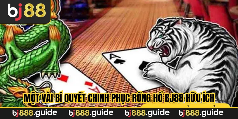 Một vài bí quyết chinh phục rồng hổ BJ88 hữu ích