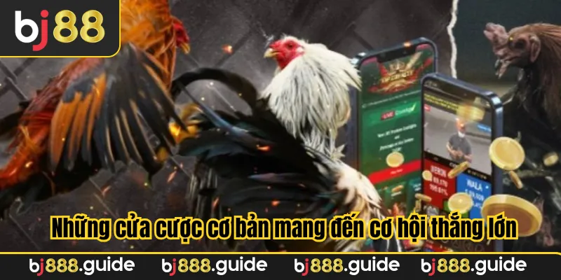 Những cửa cược cơ bản mang đến cơ hội thắng lớn