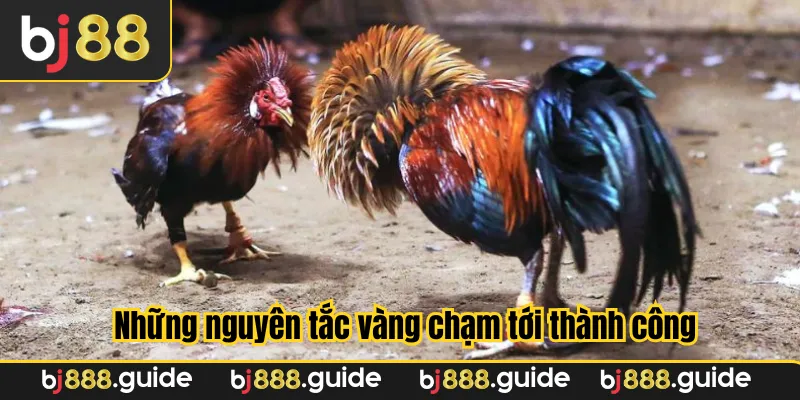 Những nguyên tắc vàng chạm tới thành công