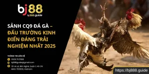 Sảnh CQ9 Đá Gà – Đấu Trường Kinh Điển Đáng Trải Nghiệm Nhất 2025