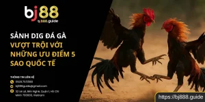 Sảnh DIG Đá Gà Vượt Trội Với Những Ưu Điểm 5 Sao Quốc Tế