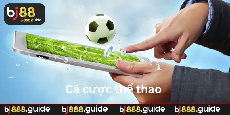 Sảnh SV388 cung cấp nhiều lựa chọn cá cược đa dạng
