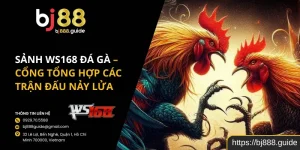 Sảnh WS168 Đá Gà – Cổng Tổng Hợp Các Trận Đấu Nảy Lửa