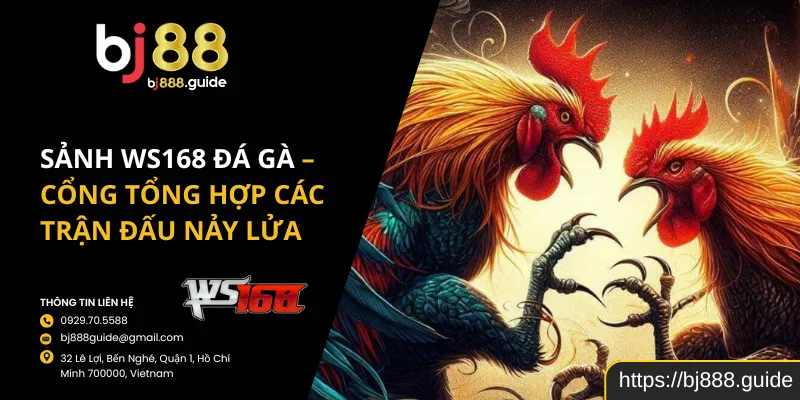 Sảnh WS168 Đá Gà – Cổng Tổng Hợp Các Trận Đấu Nảy Lửa