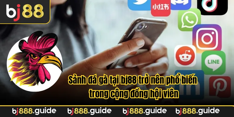 Sảnh đá gà tại bj88 trở nên phổ biến trong cộng đồng hội viên