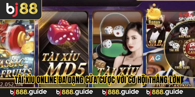Tài Xỉu Online đa dạng cửa cược với cơ hội thắng lớn chờ bạn