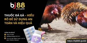 Thuốc Đá Gà – Hiểu Rõ Để Sử Dụng An Toàn Và Hiệu Quả