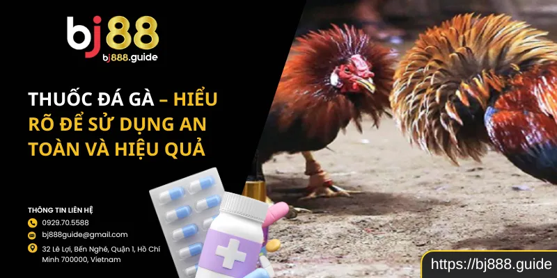 Thuốc Đá Gà – Hiểu Rõ Để Sử Dụng An Toàn Và Hiệu Quả