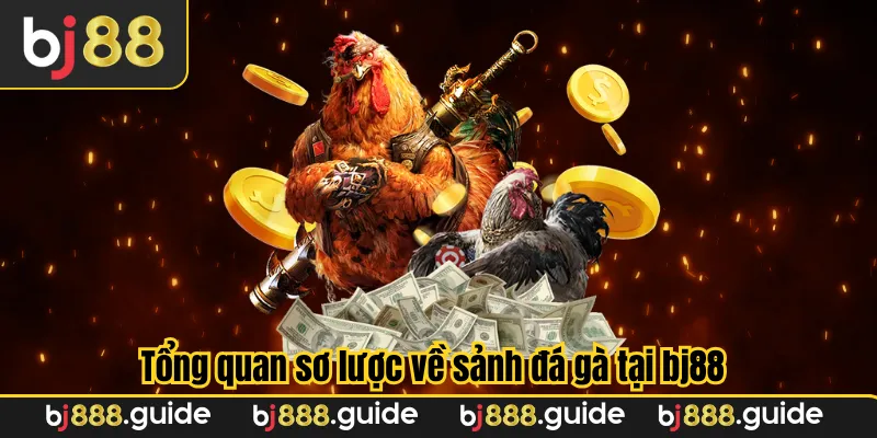 Tổng quan sơ lược về sảnh đá gà tại bj88