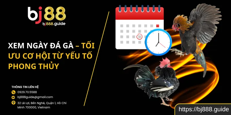 Xem Ngày Đá Gà – Tối Ưu Cơ Hội Từ Yếu Tố Phong Thủy