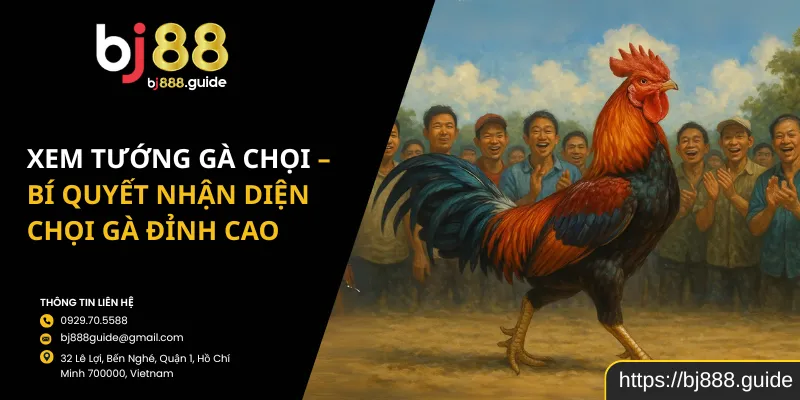 Xem Tướng Gà Chọi – Bí Quyết Nhận Diện Chọi Gà Đỉnh Cao