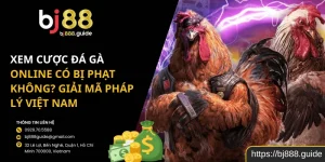 Xem cược đá gà online có bị phạt không? Giải mã pháp lý Việt Nam
