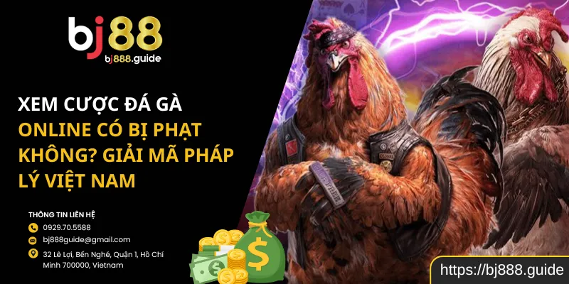 Xem cược đá gà online có bị phạt không? Giải mã pháp lý Việt Nam