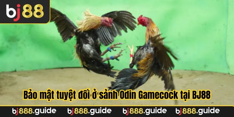 Bảo mật uy tín ở sảnh Odin Gamecock tại BJ88