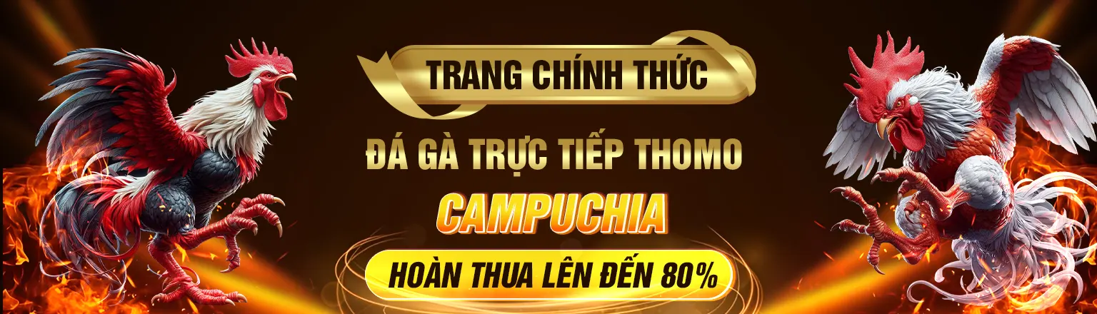 Bj88 trực tiếp đá gà app
