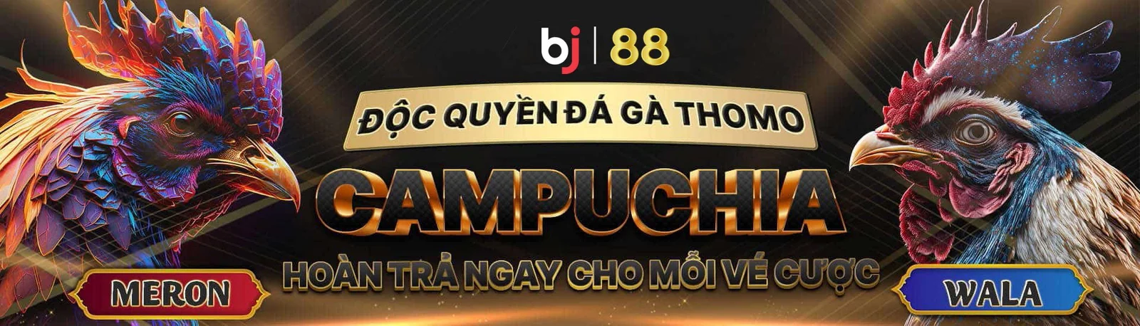 bj88 độc quyền đá gà thomo