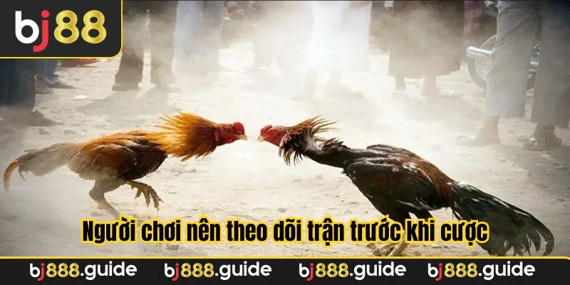 Theo dõi trận trước khi chơi là cần thiết