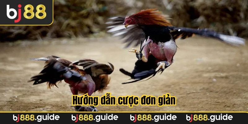 Thao tác đặt cược chỉ trong vài bước đơn giản