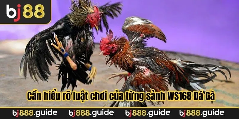 Cần nắm bắt rõ ràng luật chơi của từng loại hình