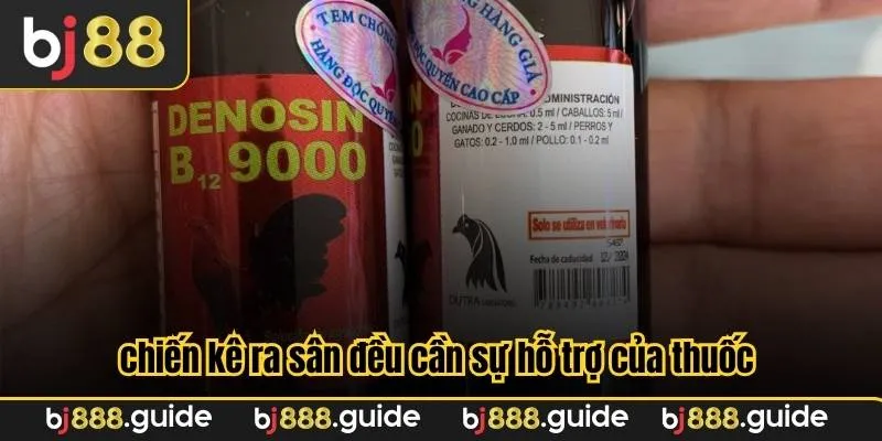 Về cơ bản, hầu như chiến kê ra sân đều cần sự hỗ trợ của thuốc