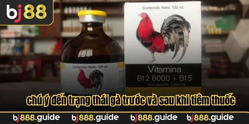 Nên chú ý đến trạng thái gà trước và sau khi tiêm thuốc