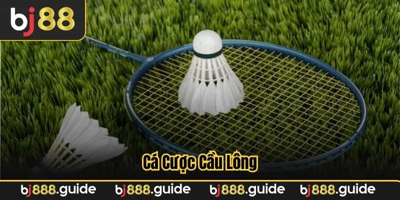 cược cầu lông bj88 giải đấu đa dạng và cập nhật nhanh