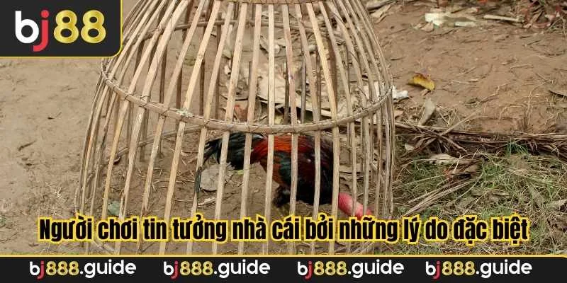 Người chơi tin tưởng nhà cái bởi những lý do đặc biệt