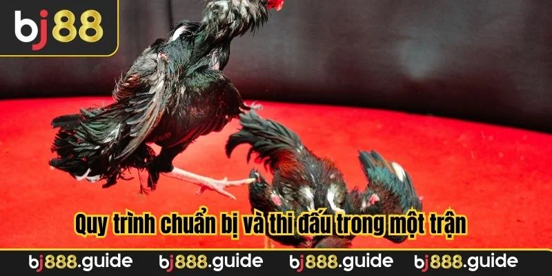Quy trình chuẩn bị và thi đấu trong một trận