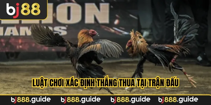 Luật chơi xác định thắng thua tại trận đấu
