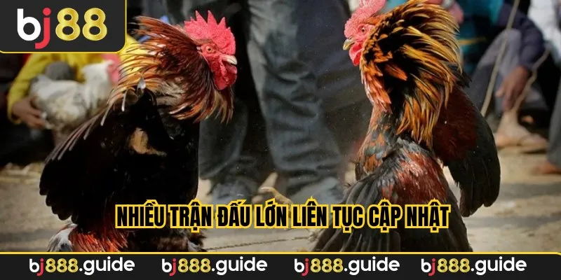 Nhiều trận đấu lớn liên tục cập nhật