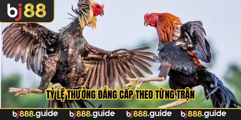 Tỷ lệ thưởng đẳng cấp theo từng trận