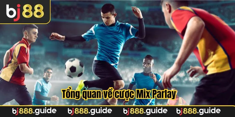 Giới thiệu vài nét liên quan tới cược Mix Parlay