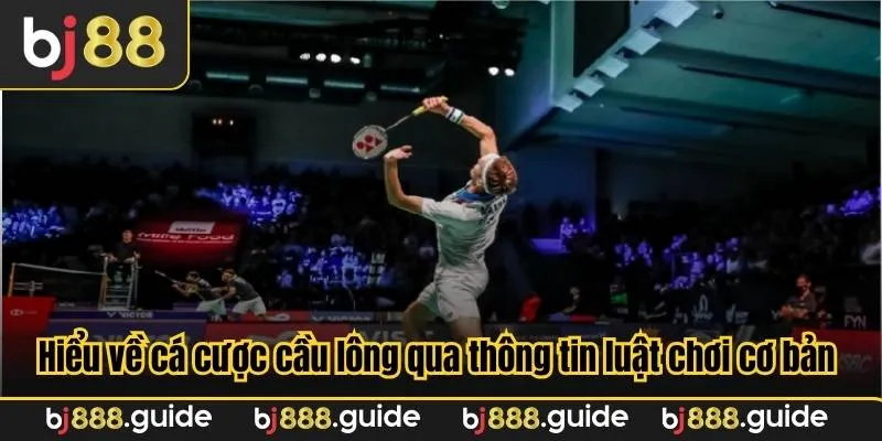 Hiểu về cá cược cầu lông qua thông tin luật chơi cơ bản