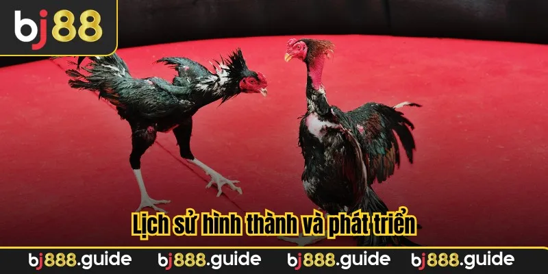 Lịch sử hình thành và phát triển