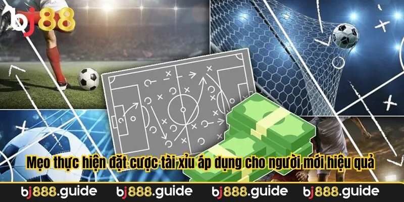 Mẹo thực hiện đặt cược tài xỉu áp dụng cho người mới hiệu quả