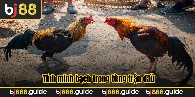Tính minh bạch trong từng trận đấu
