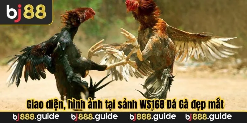 Từng hình ảnh tại cổng đều được chăm chút tỉ mẩn